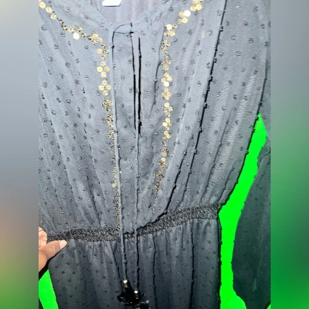 Altuzarra x Target Elegant Black Sheer Dress size 2